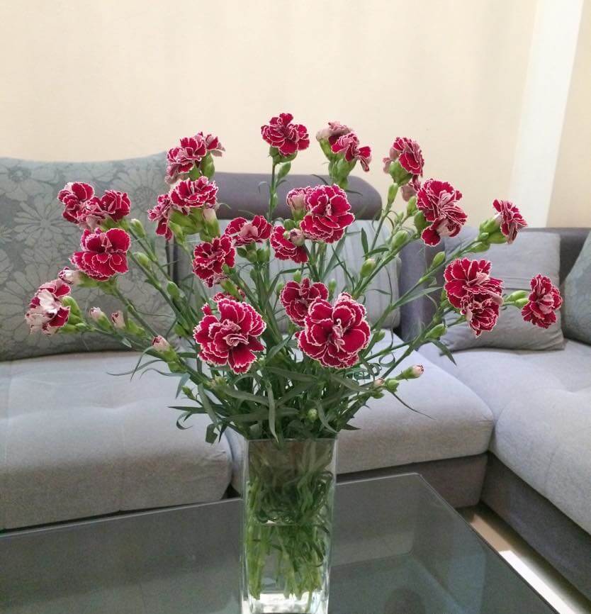 Hoa phăng vào mùa, giá "siêu" rẻ nhưng bạn nhất định phải biết quy tắc này khi cắm- Ảnh 1.