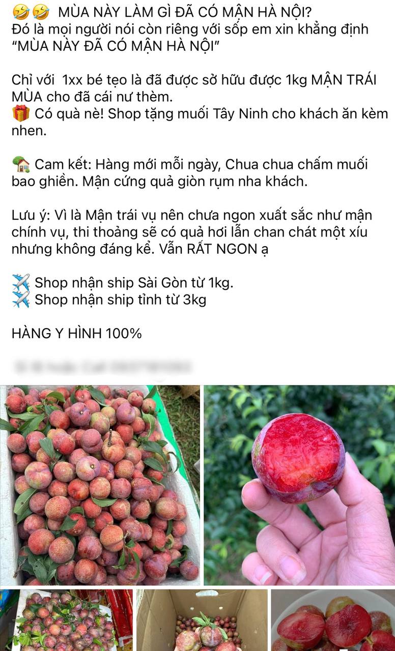 Tình hình mận đầu mùa: Vài trăm nghìn/kg vẫn đổ xô mua, dân tình mukbang rần rần dù chua nhăn mặt- Ảnh 8.