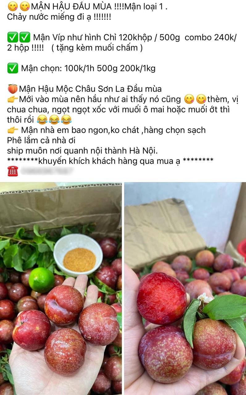 Tình hình mận đầu mùa: Vài trăm nghìn/kg vẫn đổ xô mua, dân tình mukbang rần rần dù chua nhăn mặt- Ảnh 6.