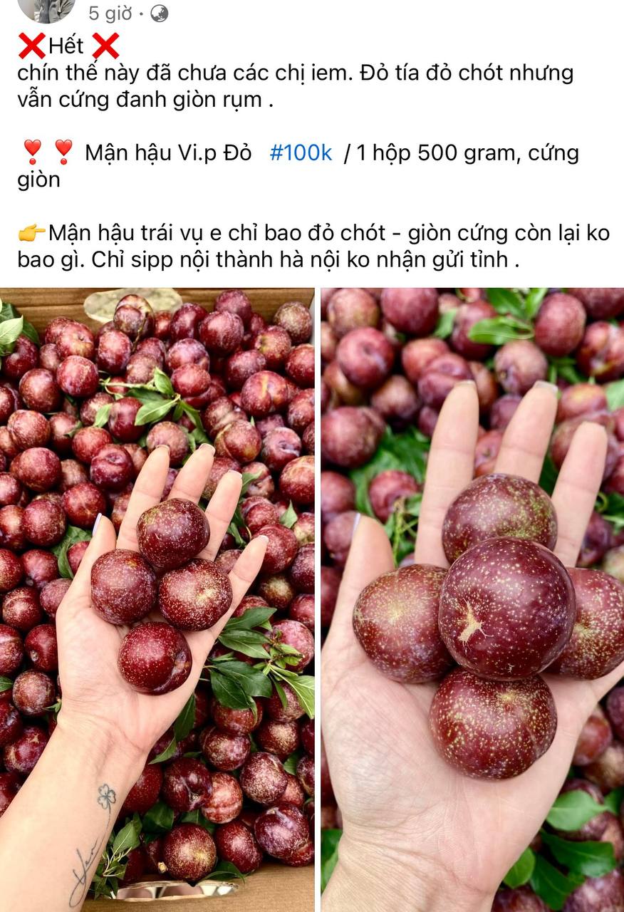 Tình hình mận đầu mùa: Vài trăm nghìn/kg vẫn đổ xô mua, dân tình mukbang rần rần dù chua nhăn mặt- Ảnh 7.