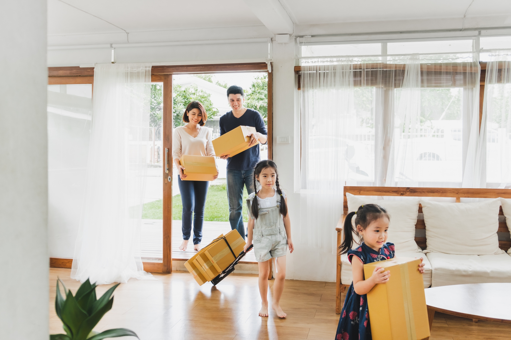 Trải nghiệm "Đà Lạt mát lạnh" ngay tại nhà, tại sao không?- Ảnh 3.
