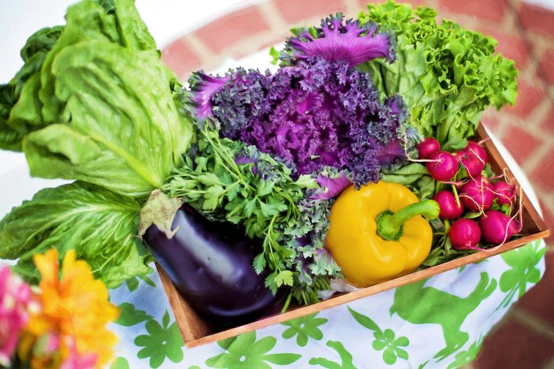 Đây là những loại rau tốt nhất cho sức khỏe mà bạn nên ăn ngay bây giờ- Ảnh 1.