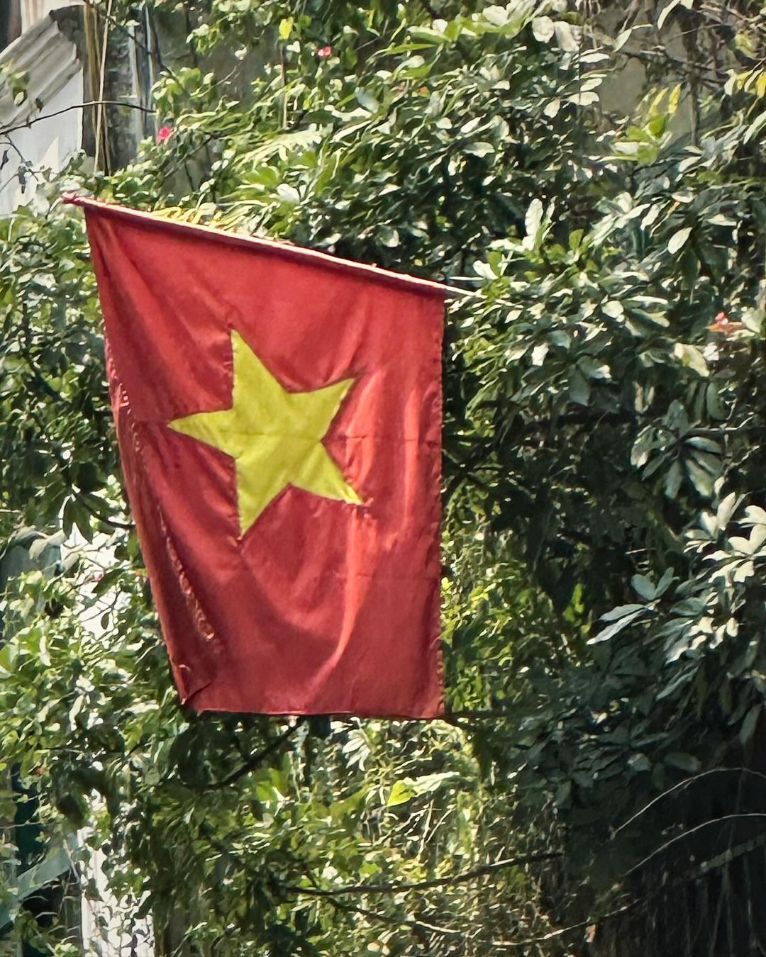 Vi vu Việt Nam như tài tử Gia Đình Là Số 1: Đi là phải phượt từ Bắc vào Nam, gặp cả Hoa hậu Vbiz- Ảnh 4. Vi vu Việt Nam như tài tử Gia Đình Là Số 1: Đi là phải phượt từ Bắc vào Nam, gặp cả Hoa hậu Vbiz- Ảnh 4.