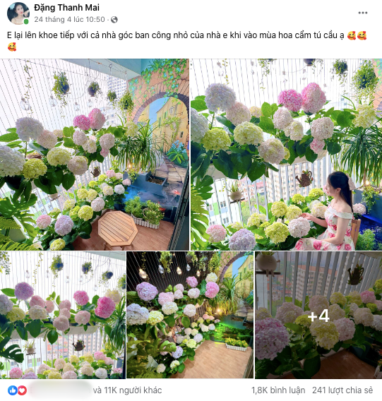 Vườn cẩm tú cầu trên không hút hơn 10.000 like, dân mạng trầm trồ: Không cần đi Đà Lạt cũng được "chữa lành"- Ảnh 1.