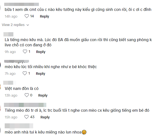 Bảo Anh từng để lộ tiếng em bé khóc trên livestream nhưng lấy mèo "đỡ đạn", nhưng không ''lừa'' được mẹ bỉm chính hiệu- Ảnh 2.