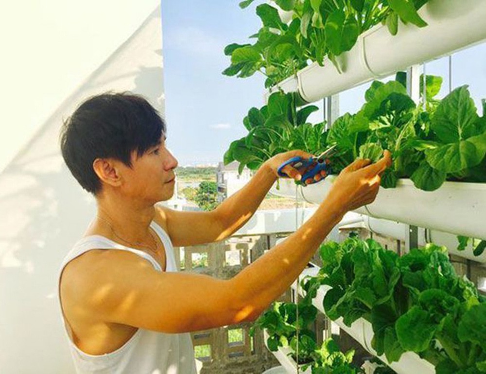 Đại gia U60 đưa mỹ nhân kém 17 tuổi về biệt thự ngoại ô trị giá hàng triệu đô để học trồng rau, làm vườn- Ảnh 11.