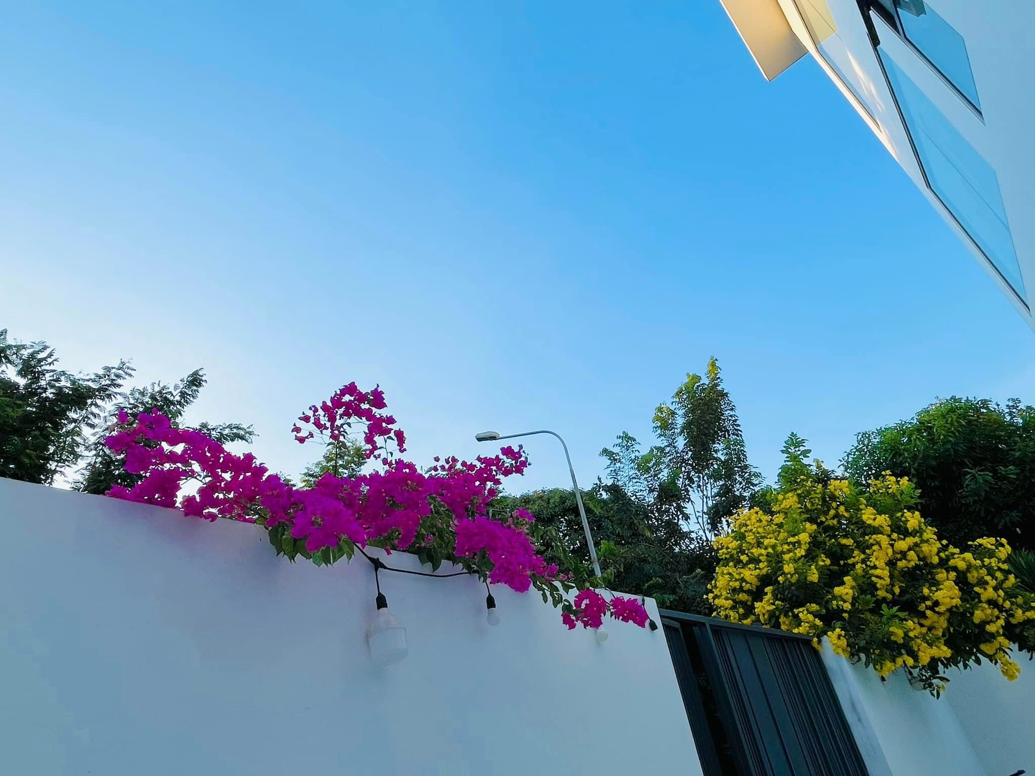 Thủy Tiên - Công Vinh đập biệt thự 22 tỷ để sửa lại, không gian sống mới đỉnh cỡ nào?- Ảnh 1.