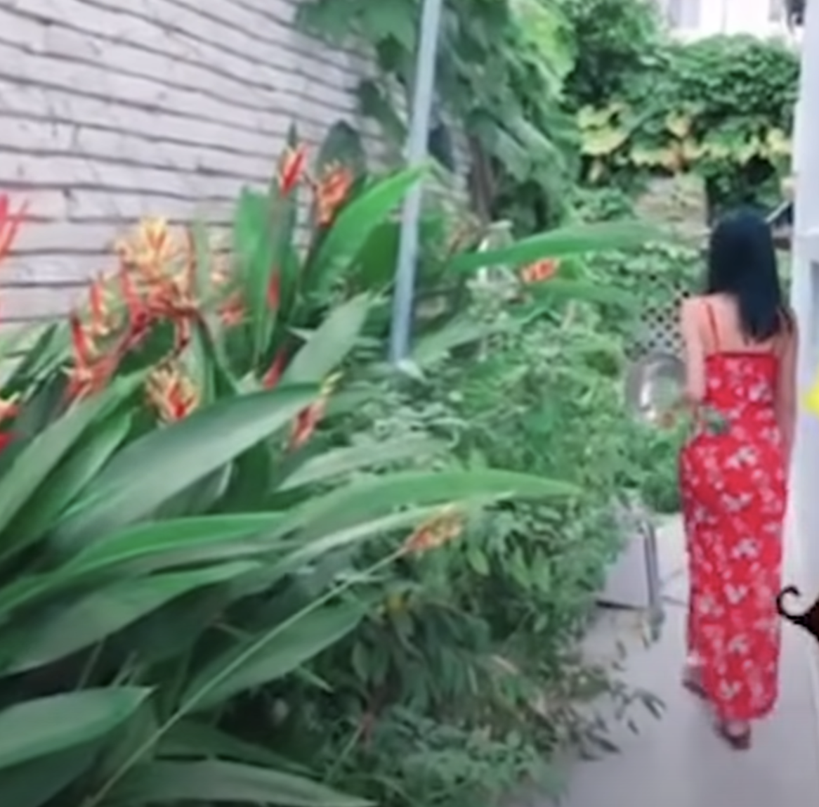 Thủy Tiên - Công Vinh đập biệt thự 22 tỷ để sửa lại, không gian sống mới đỉnh cỡ nào?- Ảnh 12.