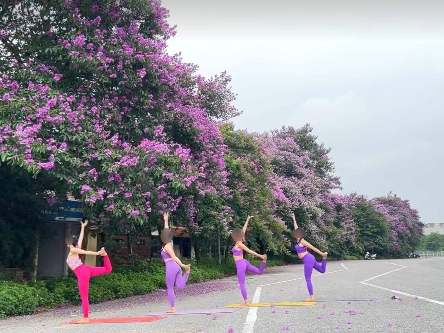 Bằng lăng chưa bao giờ đẹp đến thế, nhưng đừng biến đường phố thành studio chụp ảnh!- Ảnh 7.