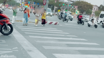 Bằng lăng chưa bao giờ đẹp đến thế, nhưng đừng biến đường phố thành studio chụp ảnh!- Ảnh 9.