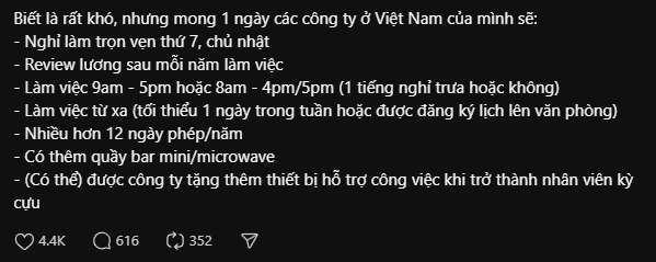 Không chấm công, được nghỉ trọn vẹn thứ 7 và CN, nhiều hơn 12 ngày phép/năm: Gen Z cần công ty thế này!- Ảnh 1.