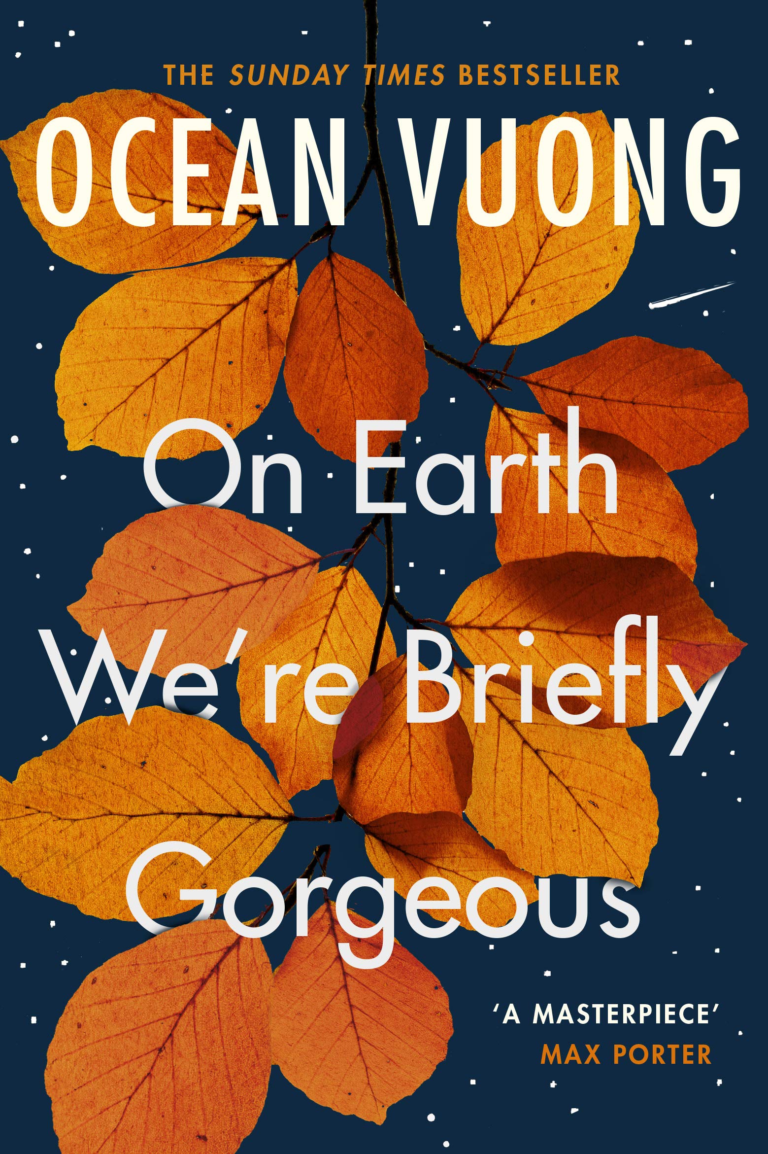 Ocean Vương - Tác giả cuốn "Một thoáng ta rực rỡ ở nhân gian" là ai?- Ảnh 2. Ocean Vương - Tác giả cuốn "Một thoáng ta rực rỡ ở nhân gian" là ai?- Ảnh 2.