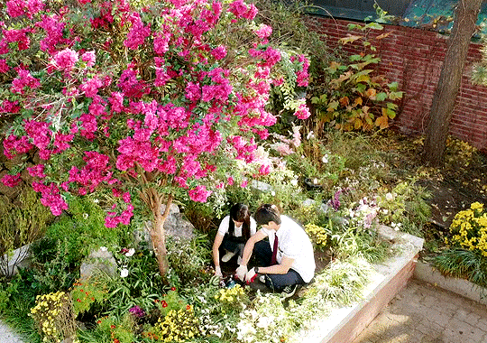 Phim ngôn tình gây sốt toàn cầu chỉn chu đến không ngờ, cả trang phục cũng như "xé truyện bước ra" - Ảnh 3.