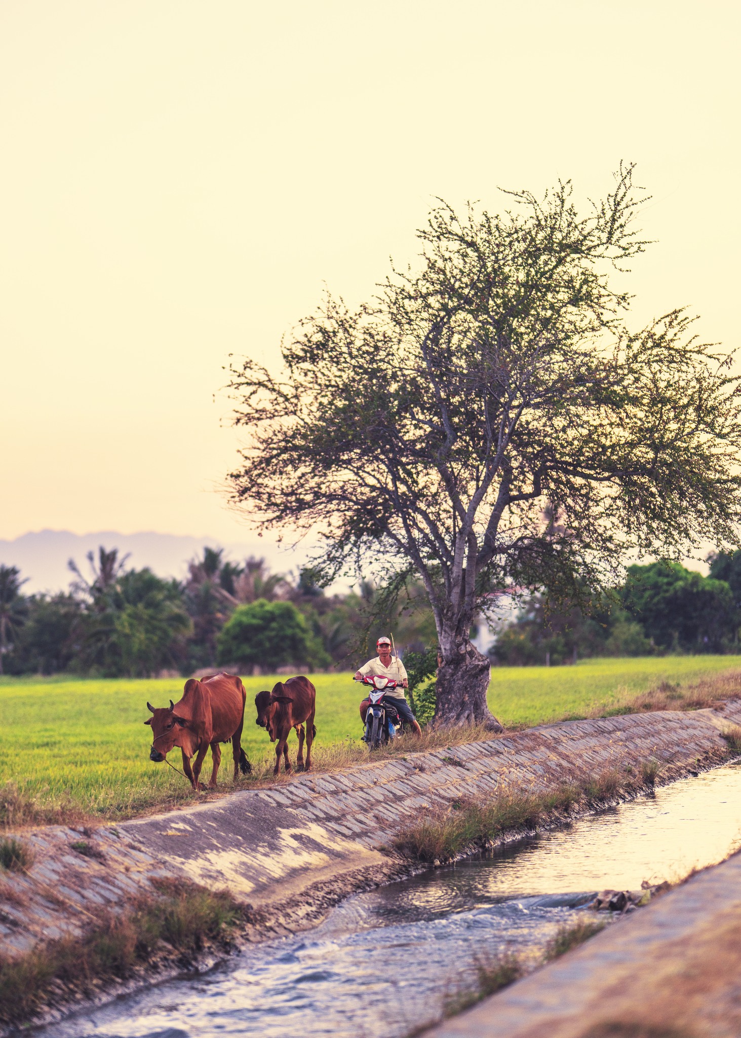 Phan Rang đầy nắng và gió "mê hoặc" gia đình nhỏ, em bé 5 tuổi yêu biển và những góc miền quê gần gũi- Ảnh 6.
