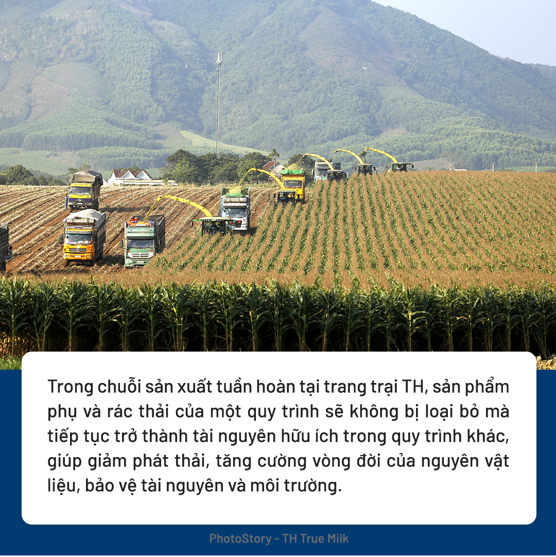 Công nghệ xanh thúc đẩy kinh tế tuần hoàn tại trang trại bò sữa TH true MILK- Ảnh 9.