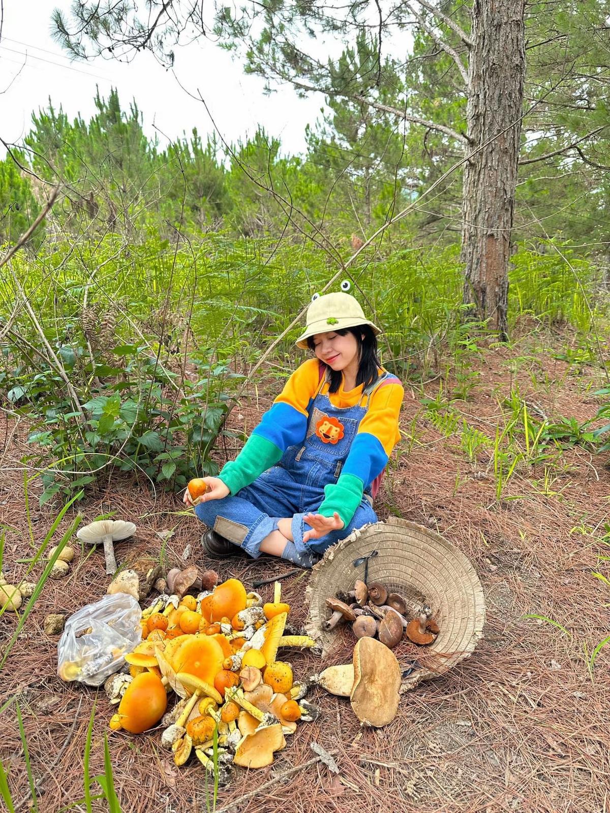 Dân tình háo hức kéo nhau lên đồi thông đào "trứng vàng" - thứ đặc sản chỉ có ở Đà Lạt mùa này- Ảnh 1.