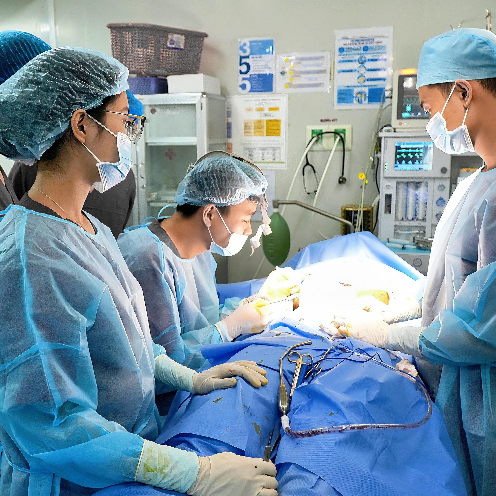 Hé lộ "bàn tay" đứng sau màn lột xác của TikToker Võ Nữ Ngân Hà- Ảnh 3.