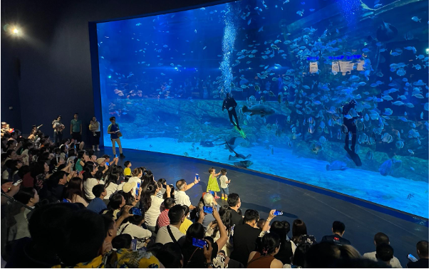 Những trải nghiệm mùa hè tuyệt vời tại Thủy cung Lotte World Hà Nội- Ảnh 1. Những trải nghiệm mùa hè tuyệt vời tại Thủy cung Lotte World Hà Nội- Ảnh 1.