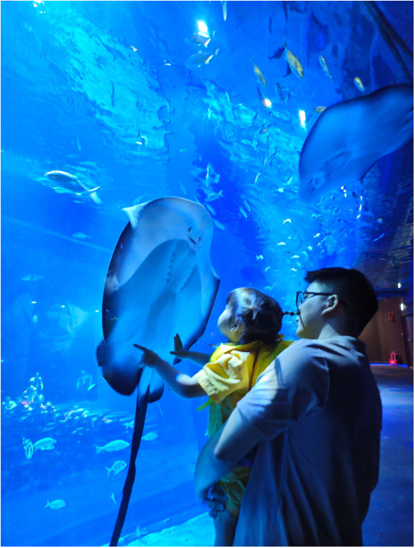 Những trải nghiệm mùa hè tuyệt vời tại Thủy cung Lotte World Hà Nội- Ảnh 2. Những trải nghiệm mùa hè tuyệt vời tại Thủy cung Lotte World Hà Nội- Ảnh 2.