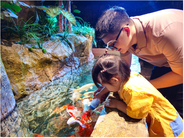 Những trải nghiệm mùa hè tuyệt vời tại Thủy cung Lotte World Hà Nội- Ảnh 4. Những trải nghiệm mùa hè tuyệt vời tại Thủy cung Lotte World Hà Nội- Ảnh 4.