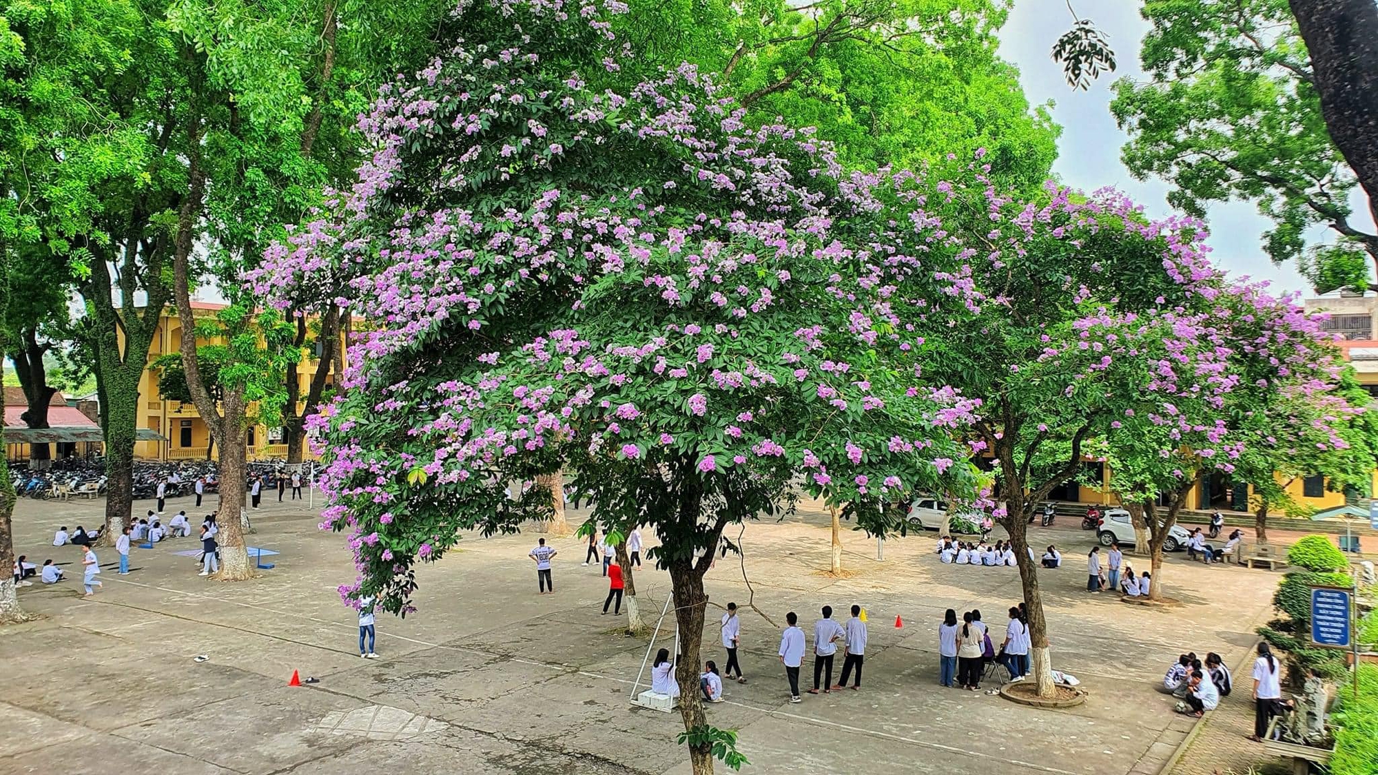 Một ngôi trường ở Hà Nội: Điểm chuẩn hàng năm thấp nhưng thành tích thi tốt nghiệp không vừa, sản sinh cả thủ khoa!- Ảnh 2.