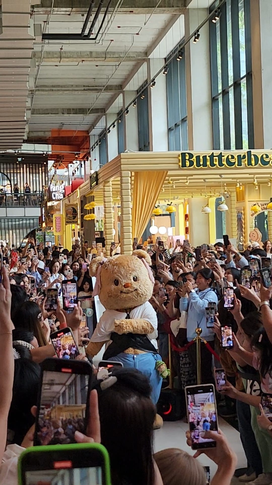 Giải mã hiện tượng Butterbear - khi linh vật của tiệm bánh lại trở thành “ngôi sao lớn”- Ảnh 16.