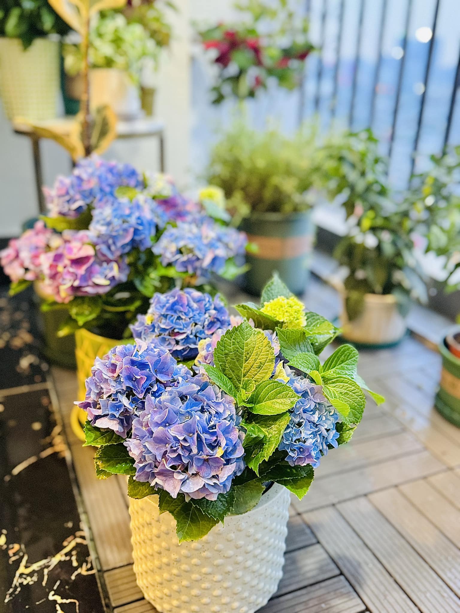 Chân dung nữ BTV Thời sự nhận nhiều chú ý trong những ngày vừa qua- Ảnh 10. Chân dung nữ BTV Thời sự nhận nhiều chú ý trong những ngày vừa qua- Ảnh 10.