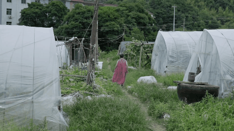 Cô lao công U60 vẽ tranh trong phòng kho WC nữ: "Đây là nơi gìn giữ tâm hồn của tôi"- Ảnh 32.