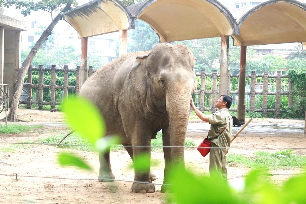 Thảo Cầm Viên đông nghịt ngày cuối tuần vì biến thành “trung tâm tiệc tùng”, mời cả nghìn người tham gia- Ảnh 12. Thảo Cầm Viên đông nghịt ngày cuối tuần vì biến thành “trung tâm tiệc tùng”, mời cả nghìn người tham gia- Ảnh 12.