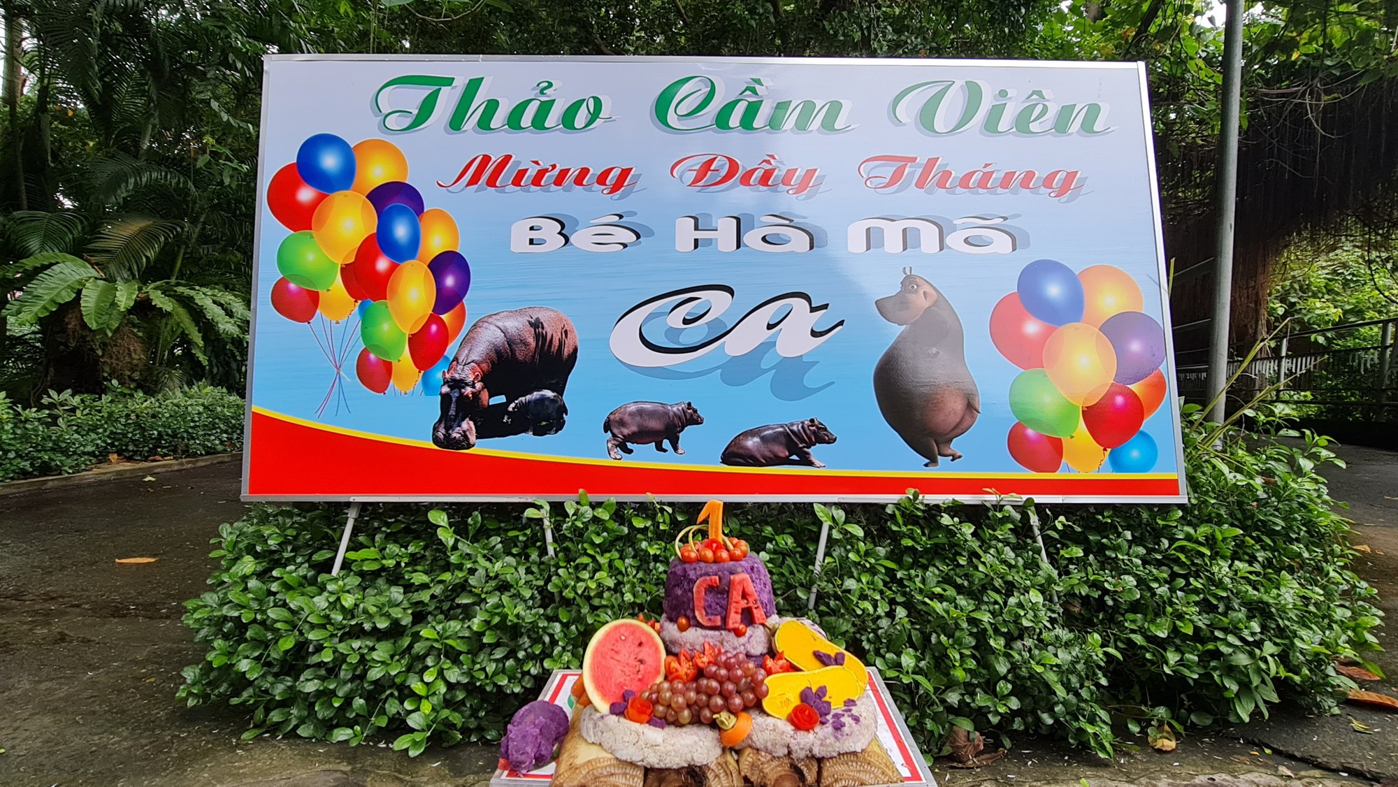 Thảo Cầm Viên đông nghịt ngày cuối tuần vì biến thành “trung tâm tiệc tùng”, mời cả nghìn người tham gia- Ảnh 4. Thảo Cầm Viên đông nghịt ngày cuối tuần vì biến thành “trung tâm tiệc tùng”, mời cả nghìn người tham gia- Ảnh 4.