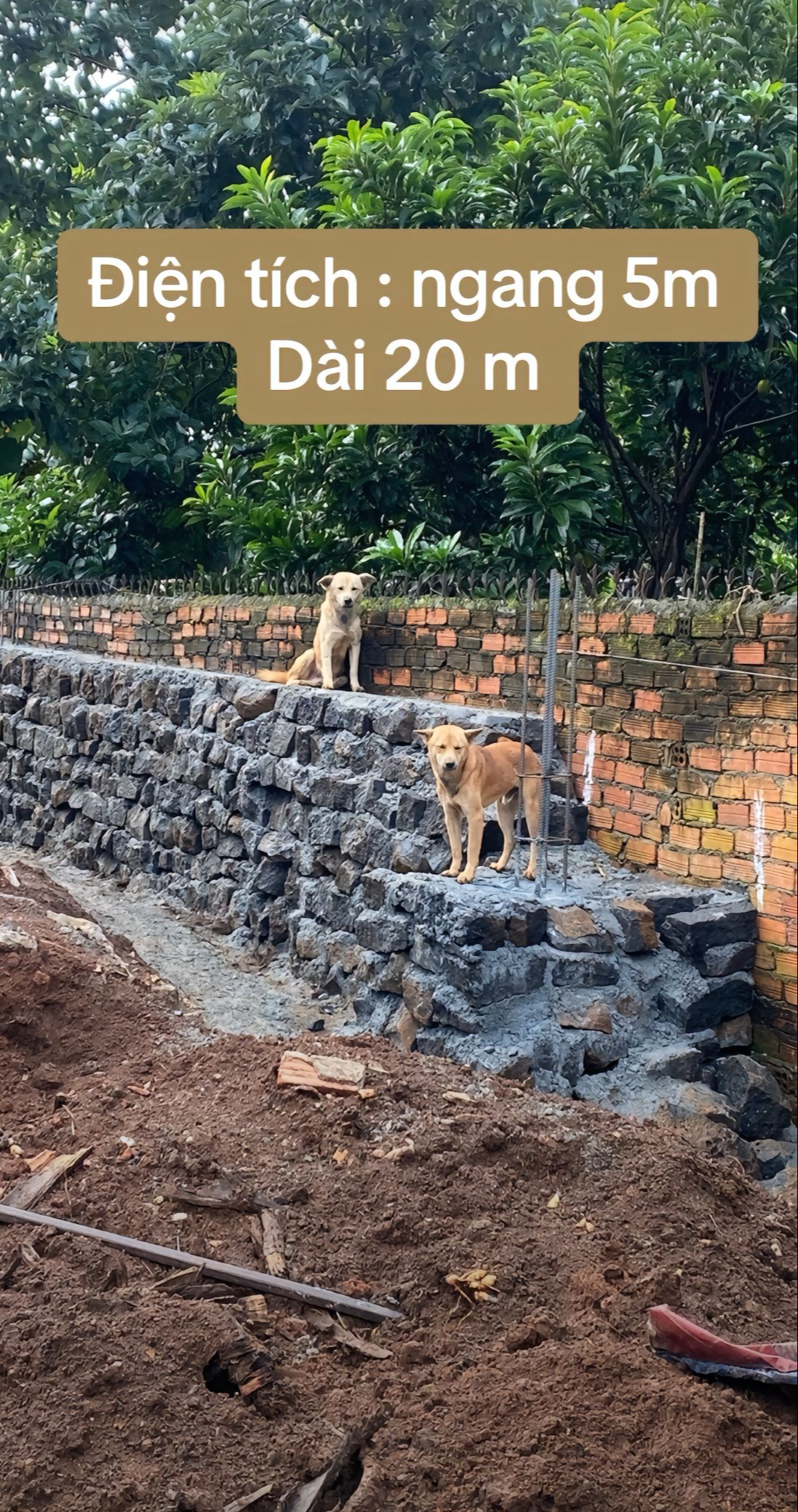 "Đập" 600 triệu để xây dựng và hoàn thiện, nhà cấp 4 ở Đắk Nông vừa hoàn thành khiến nhiều người xuýt xoa ngợi khen- Ảnh 4. "Đập" 600 triệu để xây dựng và hoàn thiện, nhà cấp 4 ở Đắk Nông vừa hoàn thành khiến nhiều người xuýt xoa ngợi khen- Ảnh 4.