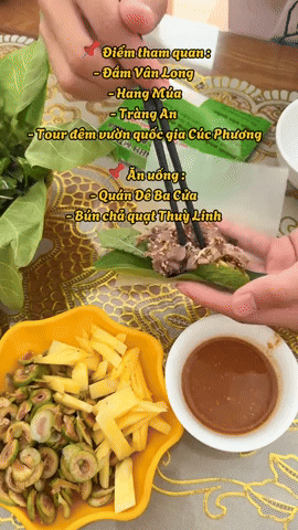 4 người đi du lịch từ Bắc vào Nam siêu tiết kiệm nhờ tự lái xe ô tô: 7 ngày 7 đêm, hết 7 triệu/người!- Ảnh 6. 4 người đi du lịch từ Bắc vào Nam siêu tiết kiệm nhờ tự lái xe ô tô: 7 ngày 7 đêm, hết 7 triệu/người!- Ảnh 6.