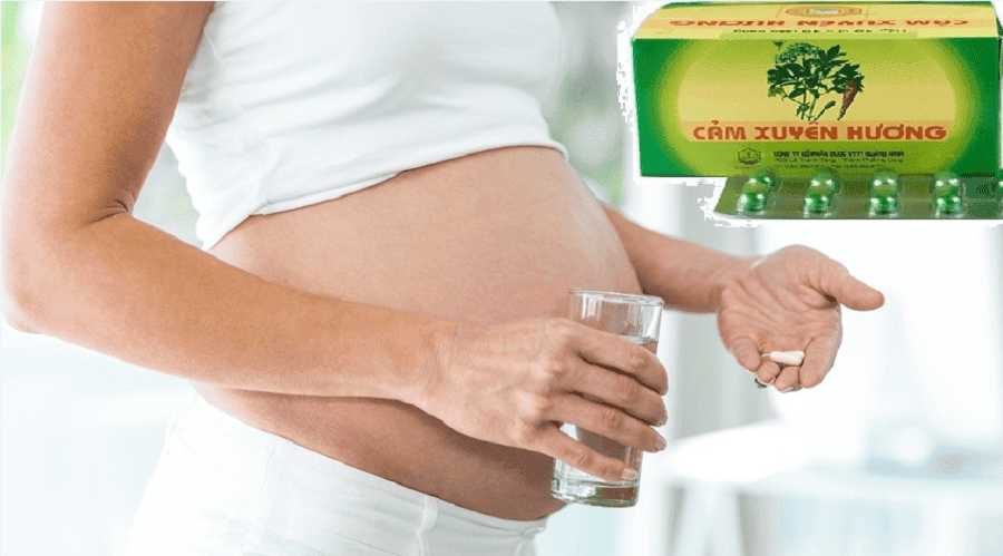 Cảm xuyên hương có tác dụng chữa cảm cúm, cảm lạnh như thế nào?- Ảnh 4.