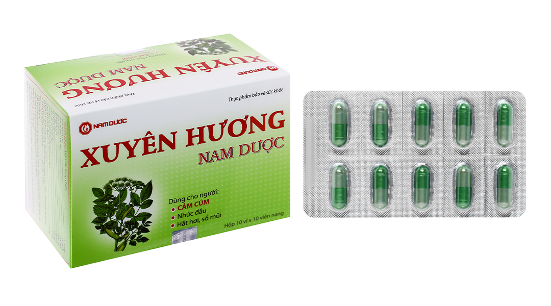 Cảm xuyên hương có tác dụng chữa cảm cúm, cảm lạnh như thế nào?- Ảnh 1.