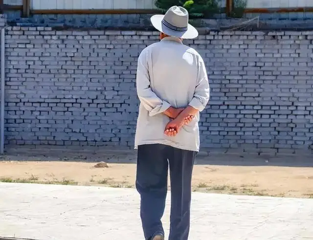 photo-1726498975197 photo-1726498975197