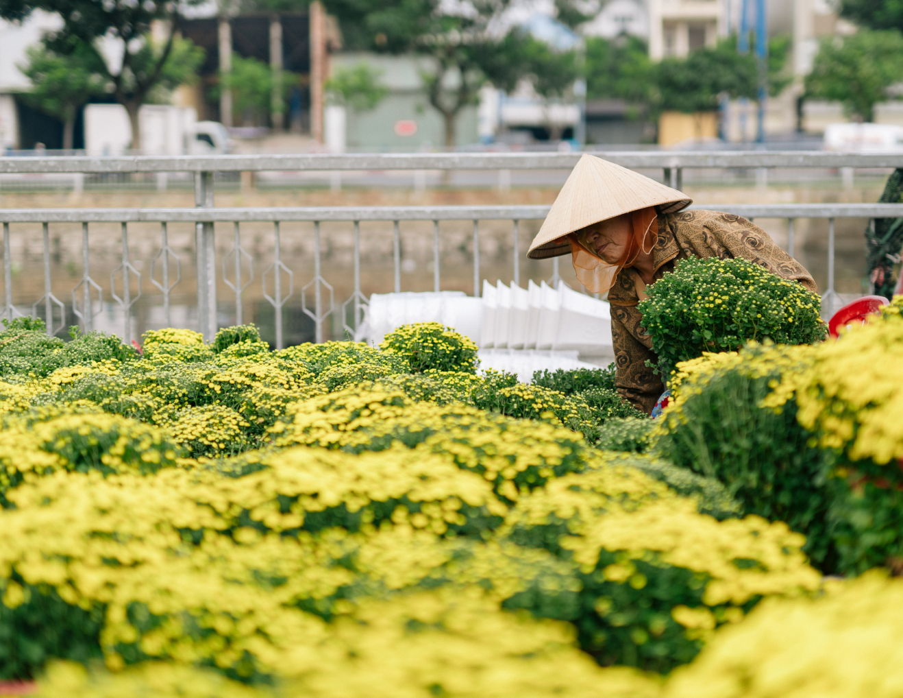 Tết này mình không về, Sài Gòn thương mình nhé!- Ảnh 22.