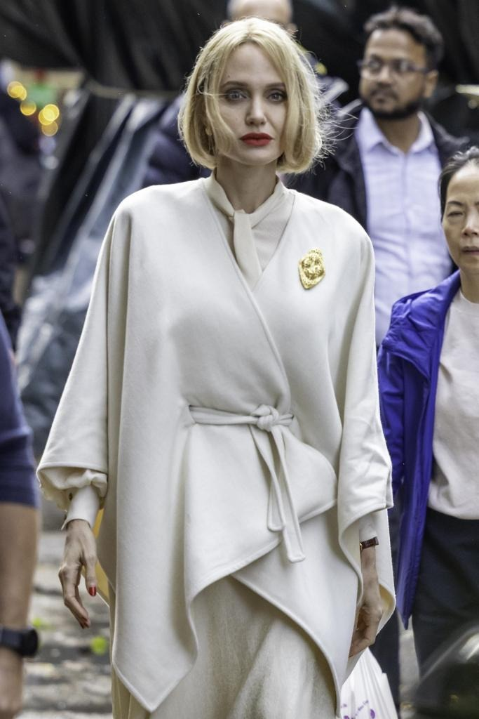 Angelina Jolie bị dồn tới đường cùng- Ảnh 4.