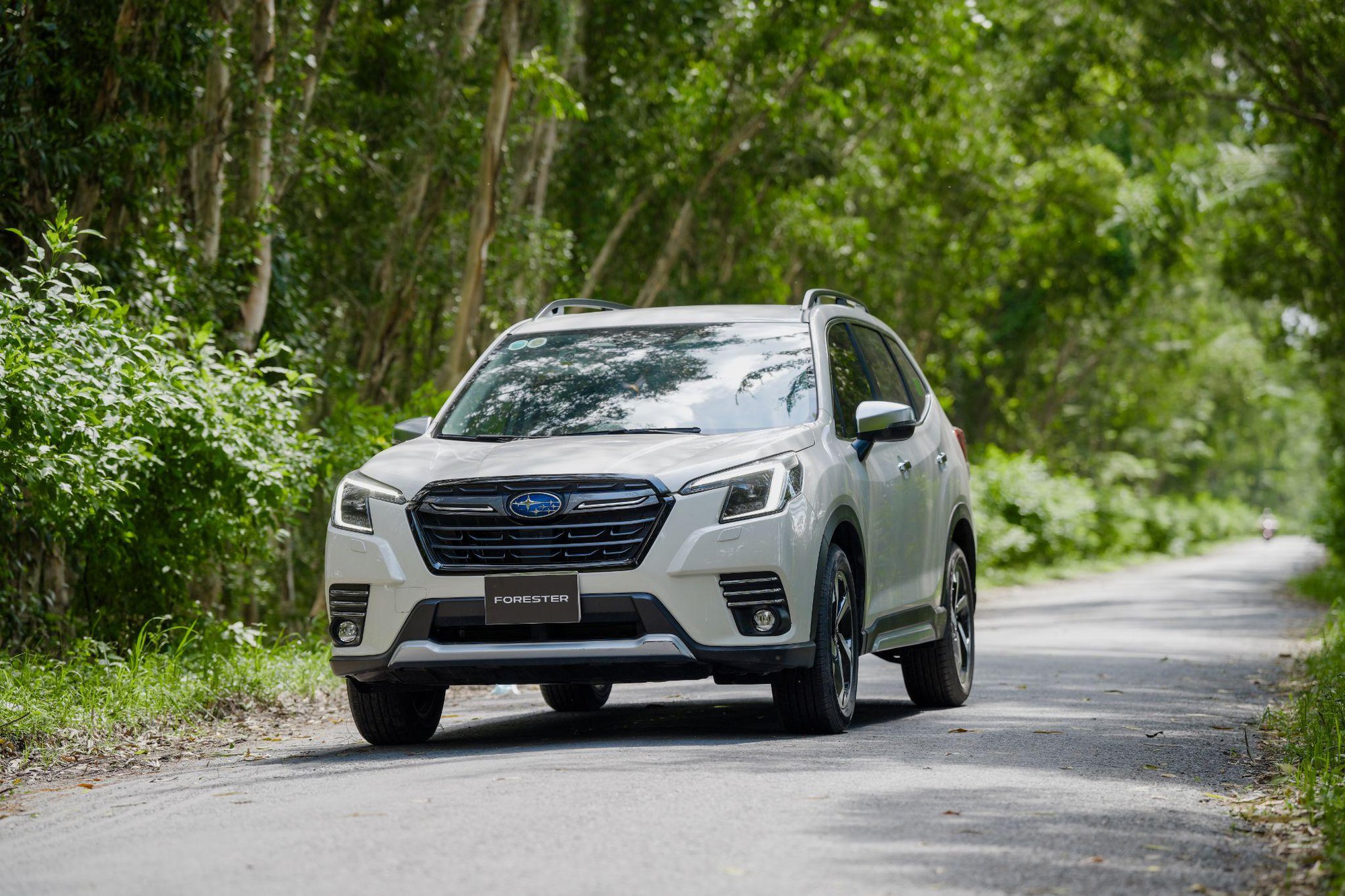 Subaru Forester và Crosstrek nhận ưu đãi chưa từng có, tăng sức 'nóng' cho thị trường SUV tại Việt Nam- Ảnh 5.