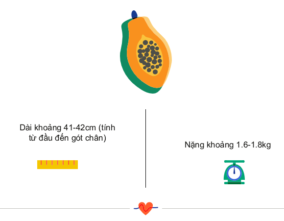 Tuần thai thứ 32: Bé yêu chuẩn bị quay ngôi thai, mẹ có thể đau lưng dưới nặng hơn- Ảnh 3.