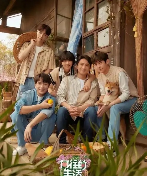 Chương trình truyền hình thực tế quốc dân chạm đáy rating: Khi show "chữa lành" bất ngờ truyền năng lượng tiêu cực- Ảnh 1.