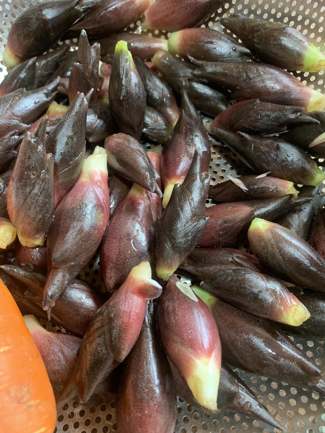 Không chỉ có mùa vàng rực rỡ, nơi này còn cất giấu "báu vật tựa nhân sâm" khiến thực khách say mê- Ảnh 3.