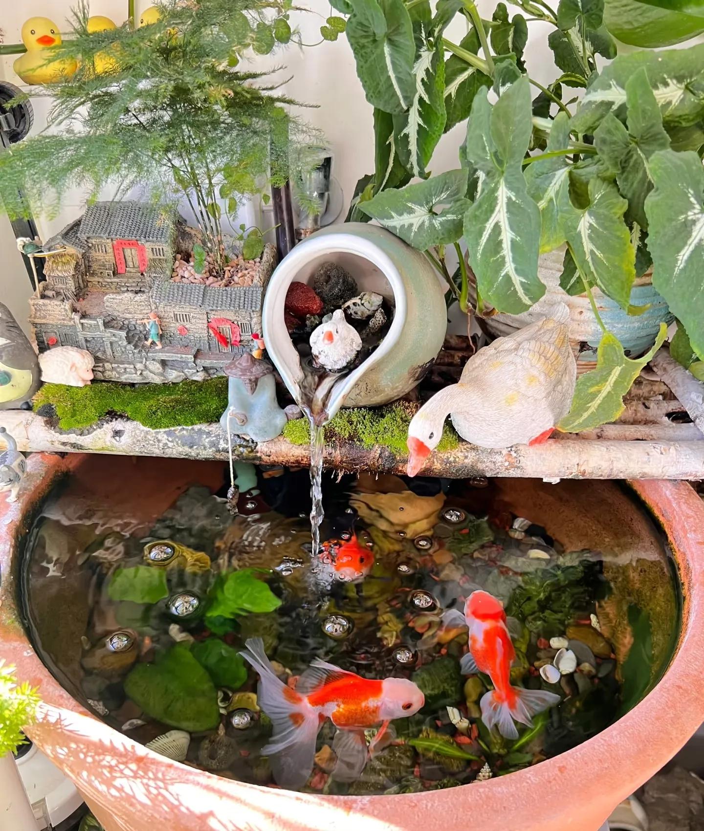 Nhà hàng xóm chỉ có ban công 4m² mà làm được khu vườn đẹp như resort, nhìn xong tôi chỉ biết thốt lên "đỉnh thật"!- Ảnh 8.