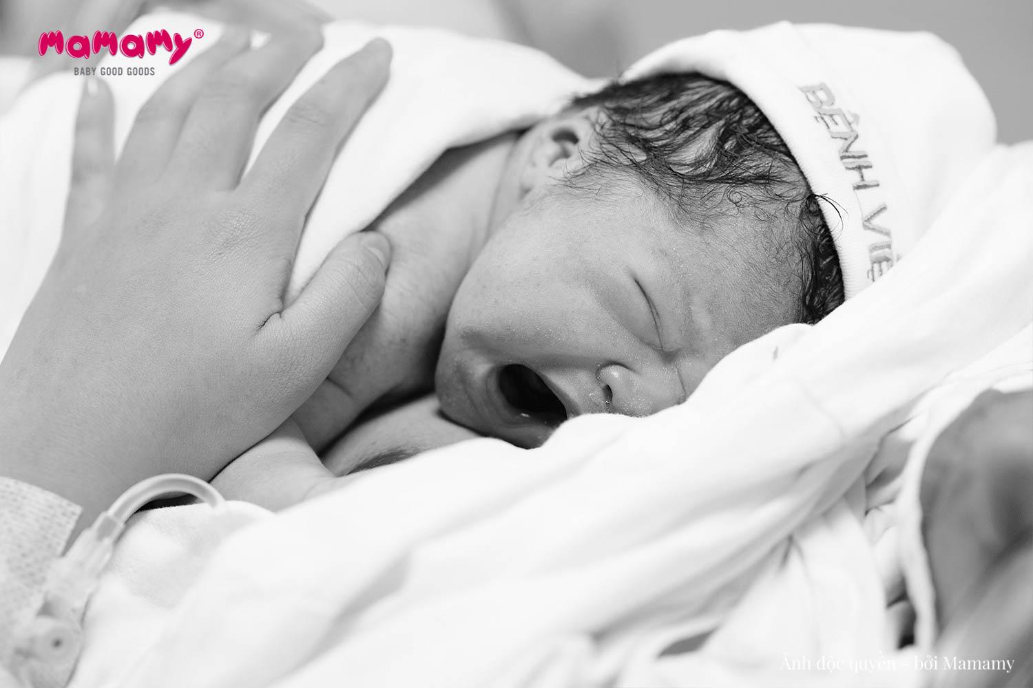 “Tiếng oeoe đầu đời”: Nguồn cảm hứng cho hệ sản phẩm toàn diện từ Mamamy- Ảnh 2.