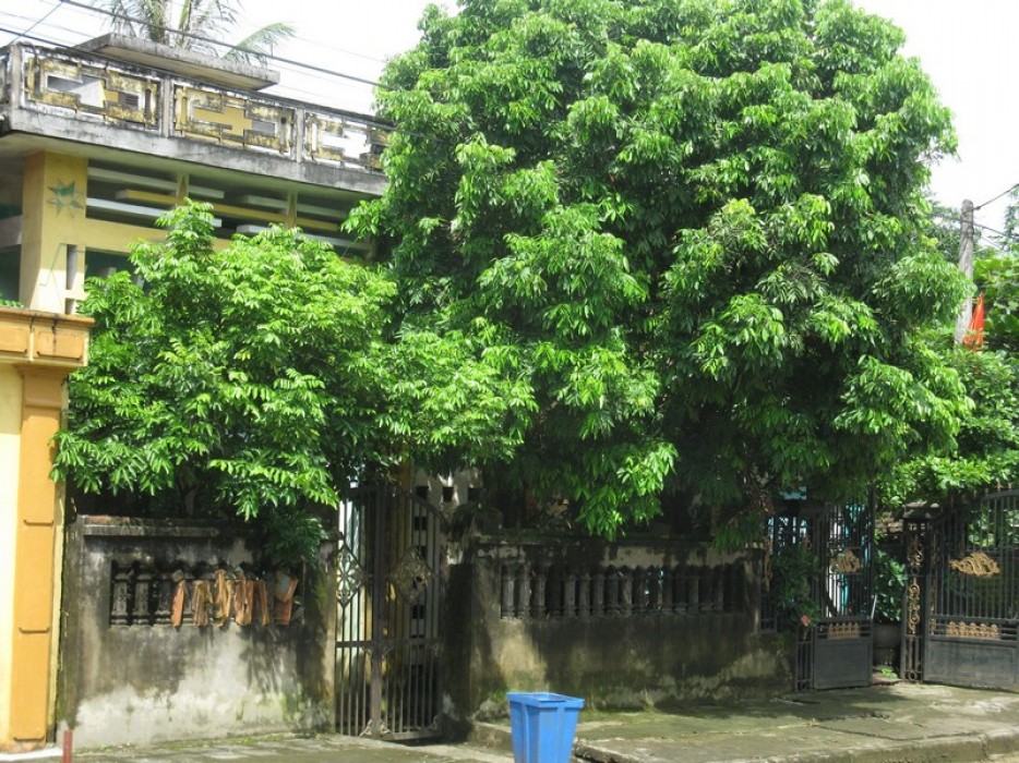 3 chi tiết trong nhà tưởng vô hại nhưng khiến tài vận cứ trôi đi- Ảnh 1.