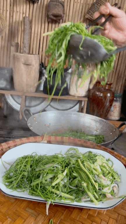 Món rau Tây Bắc gây sốt TikTok: Phắc cút tò ngòng là gì mà ai xem cũng muốn ăn thử?- Ảnh 9. Món rau Tây Bắc gây sốt TikTok: Phắc cút tò ngòng là gì mà ai xem cũng muốn ăn thử?- Ảnh 9.
