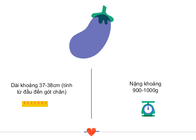 Tuần thai thứ 28: Bé tăng cân nhanh, mẹ bầu đã cảm thấy nặng nề rõ ràng- Ảnh 3.