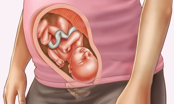 Tuần thai thứ 28: Bé tăng cân nhanh, mẹ bầu đã cảm thấy nặng nề rõ ràng- Ảnh 7.