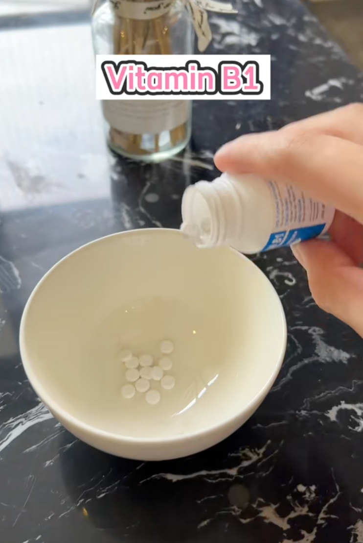 HH Đỗ Hà dưỡng tóc bằng cách này: Nghiền viên B1 trộn cùng dầu dừa để tóc nhanh dài và dày- Ảnh 7.