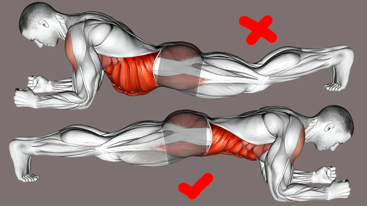 Tôi tập plank mỗi ngày để bụng phẳng, giảm cân nhưng không ngờ "nhan sắc thăng hạng" thế này- Ảnh 2.
