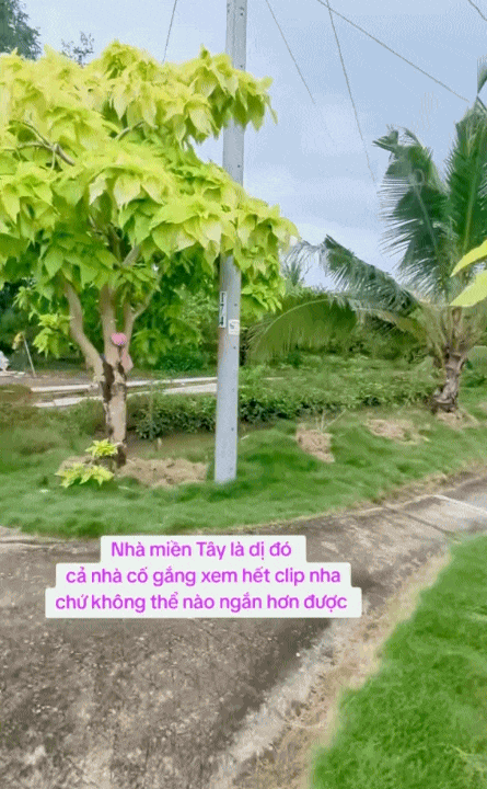 Độc lạ nhà miền Tây: Rộng như mê cung, gạch hoa mỗi phòng một kiểu, tiến vào khu bếp ai nấy đều "giật mình"- Ảnh 1. Độc lạ nhà miền Tây: Rộng như mê cung, gạch hoa mỗi phòng một kiểu, tiến vào khu bếp ai nấy đều "giật mình"- Ảnh 1.